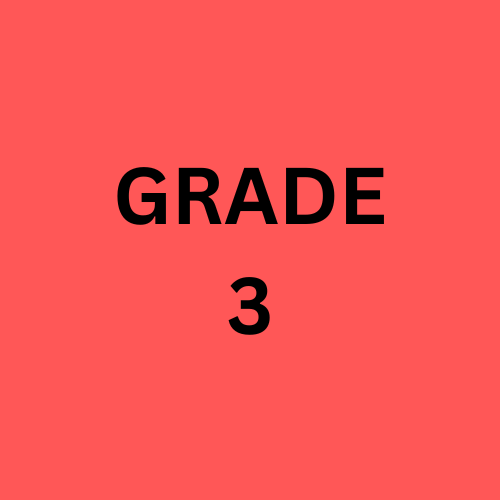 GRADE 3