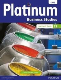 BUSINESS STUDIES GRADE 11 PLATINUM LEARNER BOOK