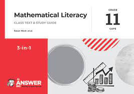 MATHEMATICAL LITERACY GR 11 - 3 IN 1 - THE ANSWER SERIES
